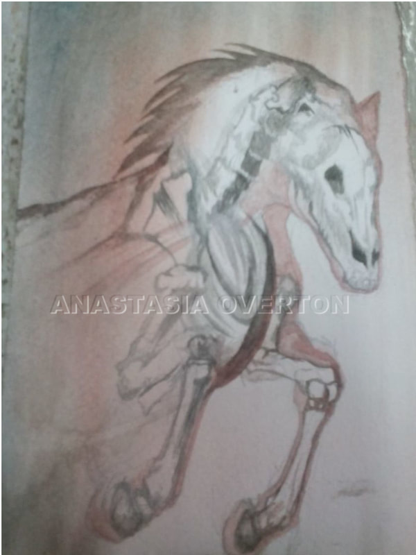 "Pale Horse" watercolor by Anastasia Overton
